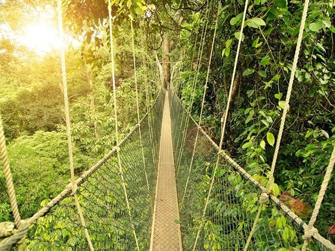 Công viên Sinh thái Kuala Lumpur Forest