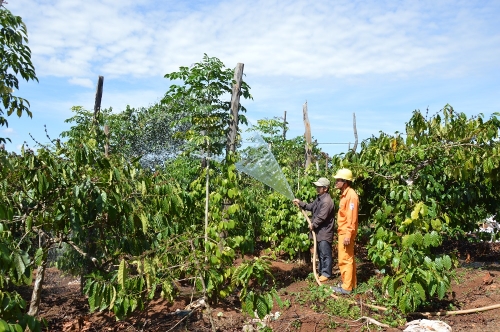  PC Đắk Nông