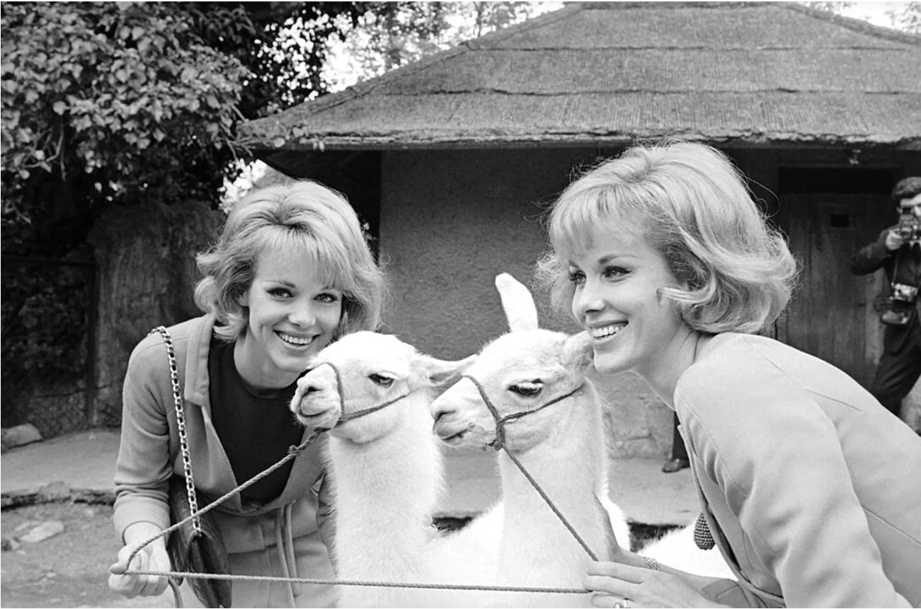 Cặp song sinh đẹp nhất thế giới chọn an tử cùng ngày