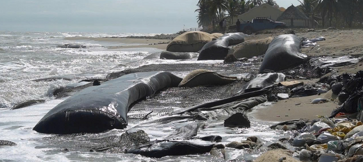 Bão số 13 đang tiến gần: Bờ biển Cửa Đại, Hội An bị xói lở nghiêm trọng