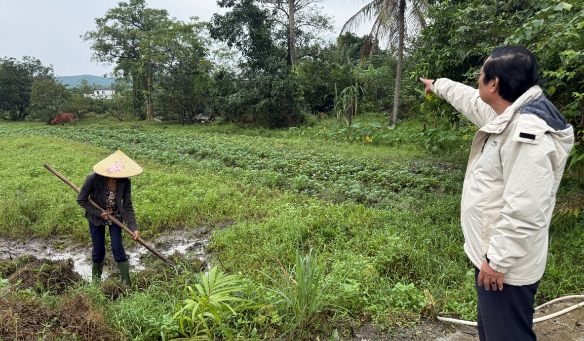 Gần 10 năm, một người dân Đà Nẵng ngược xuôi làm thủ tục vẫn không được cấp sổ đỏ