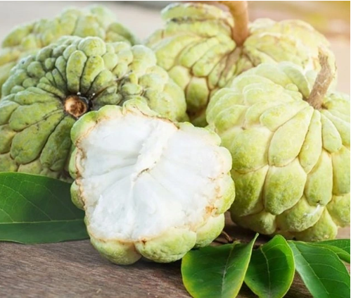 Thứ “cực độc” ẩn mình trong quả na, không may ăn phải “ân hận mấy cũng muộn”