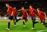 “Mèo tiên tri” và đại bàng Romeo dự đoán kết quả trận Tây Ban Nha và Costa Rica