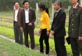 Chánh văn phòng điều phối Nông thôn mới Hà Tĩnh bị xem xét xử lý kỷ luật