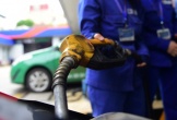 CMV được hoãn nộp phạt gần 9 tỷ đồng vì vi phạm kinh doanh xăng dầu