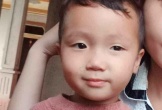 Hàng trăm người trắng đêm tìm kiếm bé trai 2 tuổi mất tích bí ẩn