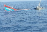 Chìm tàu cá trên biển, 11 ngư dân may mắn thoát nạn