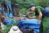 Phá hủy 20 lán trại của 'vàng tặc' ở thủ phủ vàng Bồng Miêu