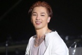 Xôn xao thông tin Taeyang (Big Bang) sẽ đến Việt Nam biểu diễn