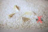 Mẹo bảo quản gạo để lâu không lo bị mọt