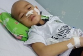Chồng bại liệt, vợ và con trai 7 tuổi cùng lúc phát hiện bị ung thư