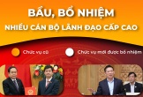 Bổ nhiệm, bầu nhiều cán bộ lãnh đạo cấp cao