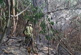 Huy động 200 người chữa cháy cho 2.000m2 rừng dưới chân núi Bà Nà