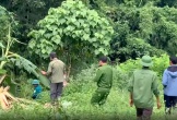 Người đàn ông chết ở bìa rừng, cạnh dấu chân nghi là voi