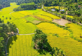 Vẻ đẹp làng cổ Lộc Yên, thành phố Đà Nẵng