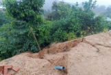 Đà Nẵng mưa đặc biệt lớn, nhiều nơi sạt lở, thủy điện xả lũ lưu lượng 'khủng'