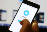 Telegram sẽ bị chặn tại Việt Nam
