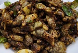 Nam thanh niên nguy kịch sau khi ăn ve sầu