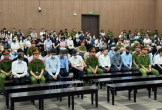 Cựu Bí thư Tỉnh uỷ Hoàng Thị Thuý Lan bị tuyên 14 năm tù