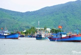 Chủ tịch Đà Nẵng chỉ đạo sẵn sàng ứng phó bão WIPHA