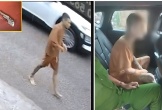 Nam thanh niên đâm chú ruột trọng thương