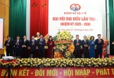 Bộ trưởng Đào Hồng Lan giữ chức Bí thư Đảng ủy Bộ Y tế