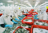 Trung Quốc trở thành thị trường nhập khẩu lớn nhất của thủy sản Việt Nam