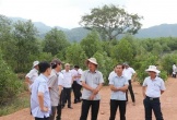 Dự án hồ chứa nước 291 tỉ ở Đà Nẵng: Quản lý yếu kém, gây lãng phí
