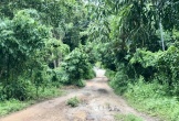 Nghi án con trai sát hại mẹ, tấn công chị gái
