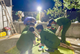 Thông tin mới vụ bé gái bị sát hại tại nhà ông bà nội
