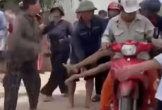 Bị ong đốt, người đàn ông tử vong trên đường đi cấp cứu