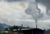 Lo ngại ô nhiễm khí thải quanh các khu công nghiệp ở Đà Nẵng
